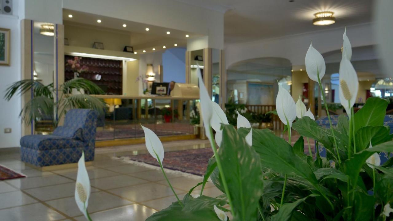Hotel 501 4*